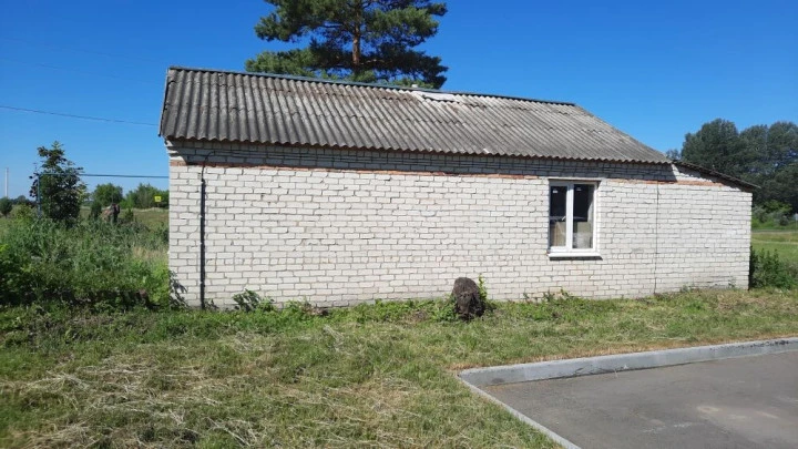 Здание 44,1 кв.м и земельный участок 162 кв.м в Курской области, Черемисиновский район, Русановский сельсовет, с. Русаново, дом № 24